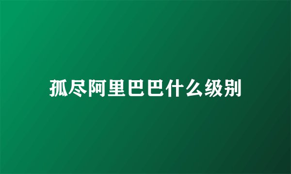 孤尽阿里巴巴什么级别
