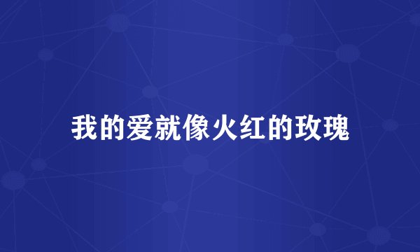 我的爱就像火红的玫瑰