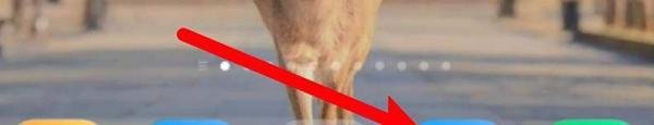 小米浏览器成黑白怎么办？