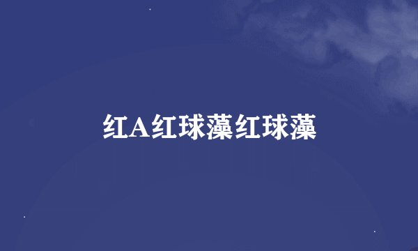 红A红球藻红球藻