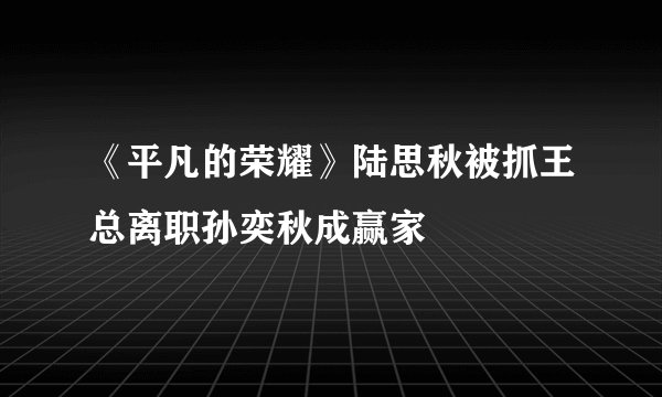 《平凡的荣耀》陆思秋被抓王总离职孙奕秋成赢家