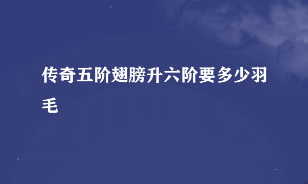 传奇五阶翅膀升六阶要多少羽毛