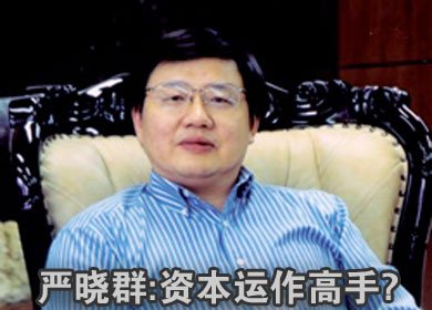 严晓群的荣誉