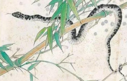 十二生肖南方是那几肖