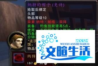 纳特帕格声望怎么冲