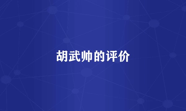 胡武帅的评价