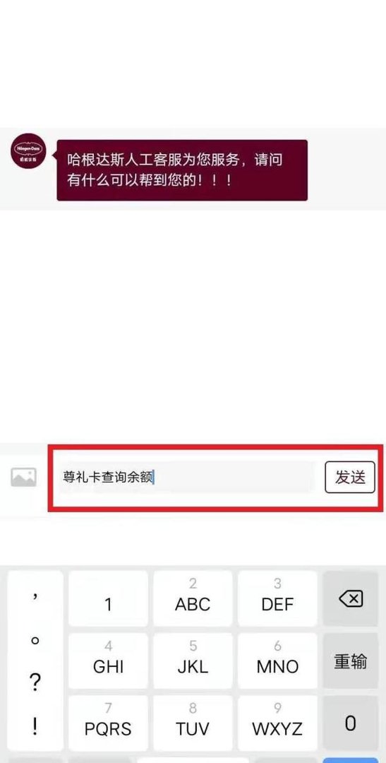 哈根达斯尊礼卡怎么查询金额