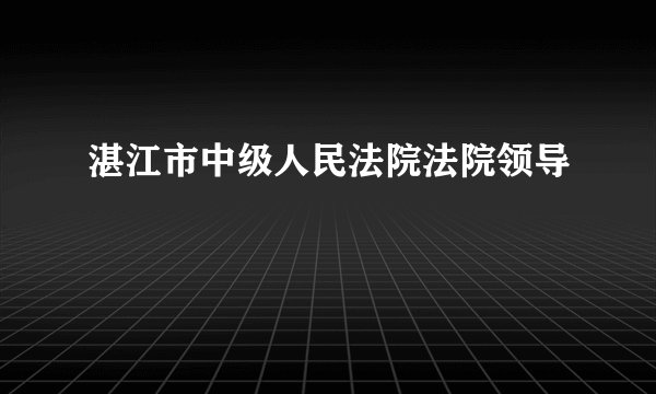 湛江市中级人民法院法院领导