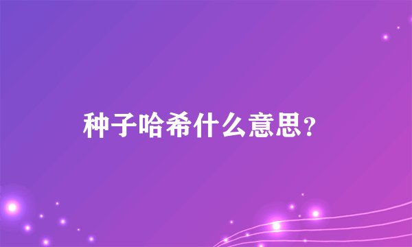 种子哈希什么意思？