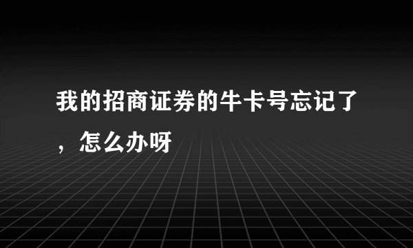 我的招商证券的牛卡号忘记了，怎么办呀