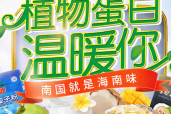 海南椰子粉哪个牌子好