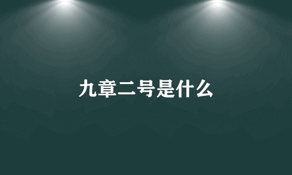 九章二号是什么