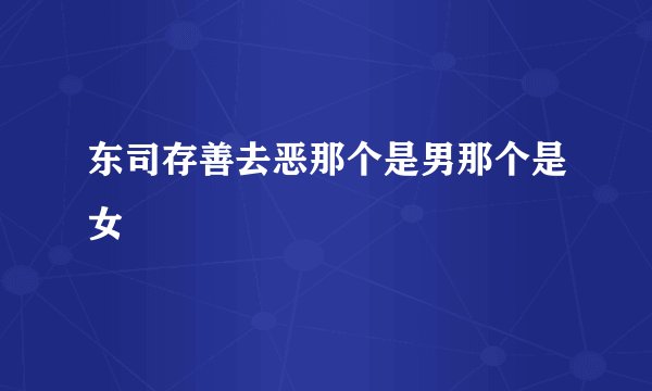 东司存善去恶那个是男那个是女