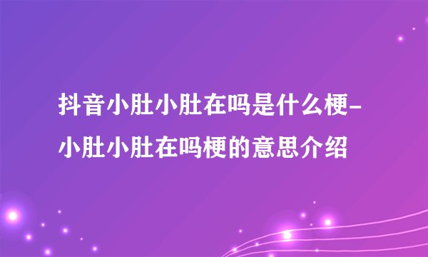 抖音小肚小肚在吗是什么梗-小肚小肚在吗梗的意思介绍