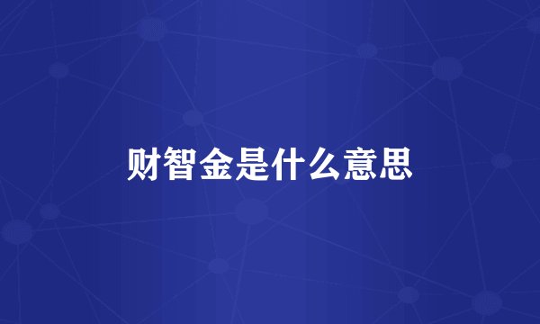 财智金是什么意思