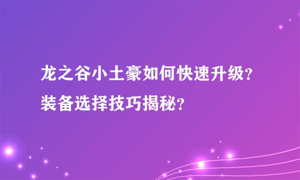 龙之谷小土豪如何快速升级？装备选择技巧揭秘？