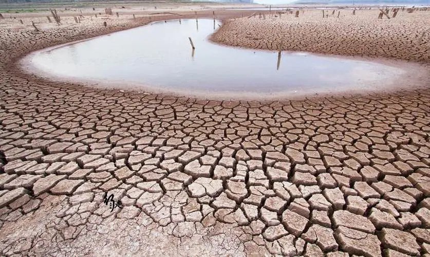 浙江乐清正常用水只能保障50余天,当地采取了哪些保障措施?