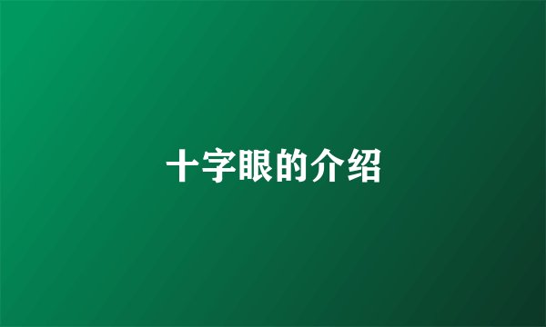 十字眼的介绍