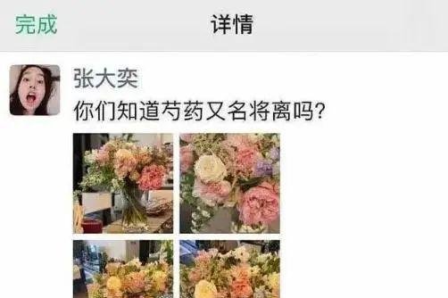 突发！阿里前太子蒋凡和网红张大奕已经结婚了？
