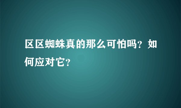 区区蜘蛛真的那么可怕吗？如何应对它？