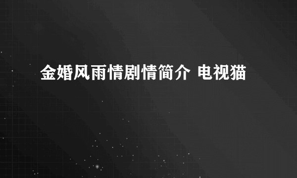 金婚风雨情剧情简介 电视猫