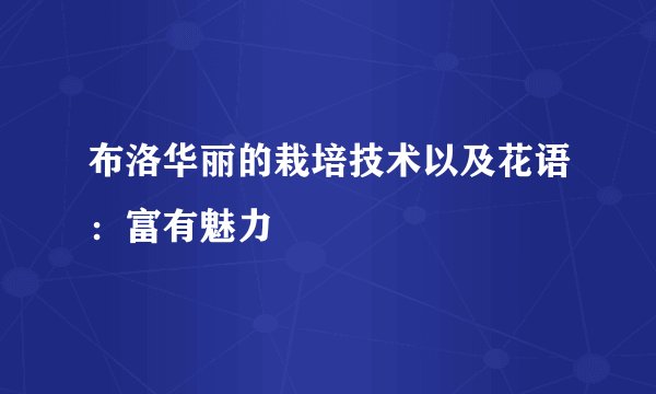 布洛华丽的栽培技术以及花语：富有魅力
