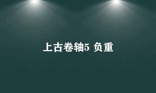上古卷轴5 负重