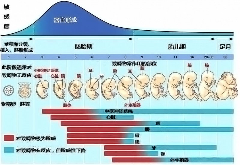 生物老师说一个人来到这世上纯属偶然,这个概率到底有多低?