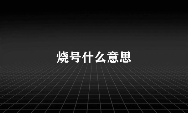 烧号什么意思