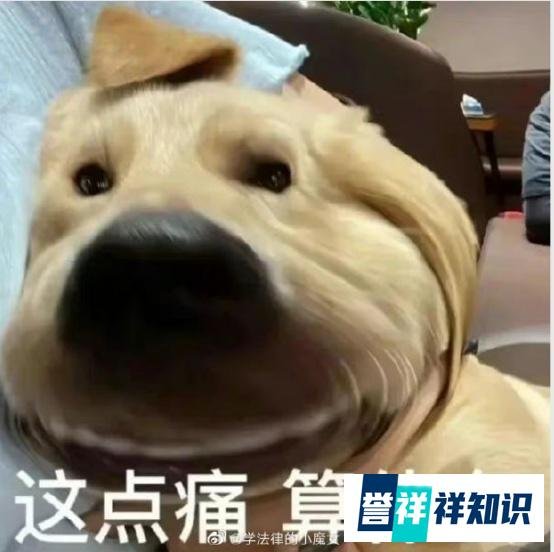 节后连上7天班！你们顶得住吗