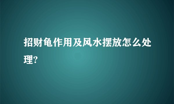 招财龟作用及风水摆放怎么处理?