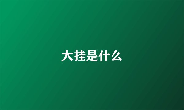 大挂是什么