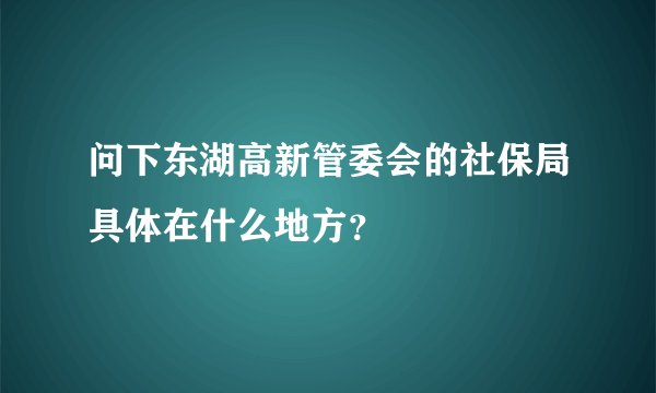 问下东湖高新管委会的社保局具体在什么地方？