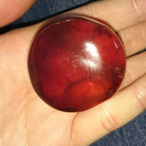 巴拉松的简介