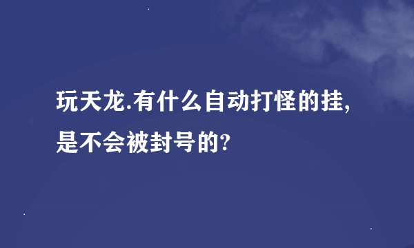 玩天龙.有什么自动打怪的挂,是不会被封号的?