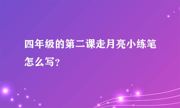 四年级的第二课走月亮小练笔怎么写？