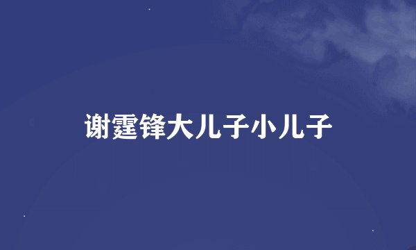 谢霆锋大儿子小儿子