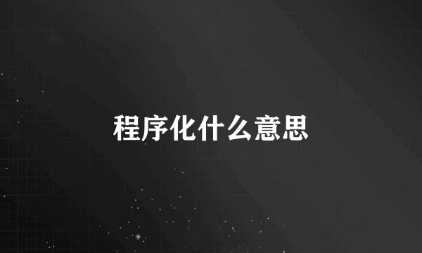 程序化什么意思