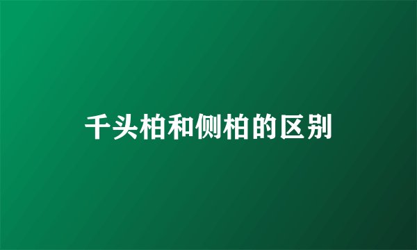 千头柏和侧柏的区别