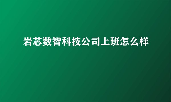 岩芯数智科技公司上班怎么样