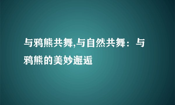 与鸦熊共舞,与自然共舞：与鸦熊的美妙邂逅