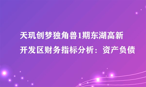 天玑创梦独角兽1期东湖高新开发区财务指标分析：资产负债