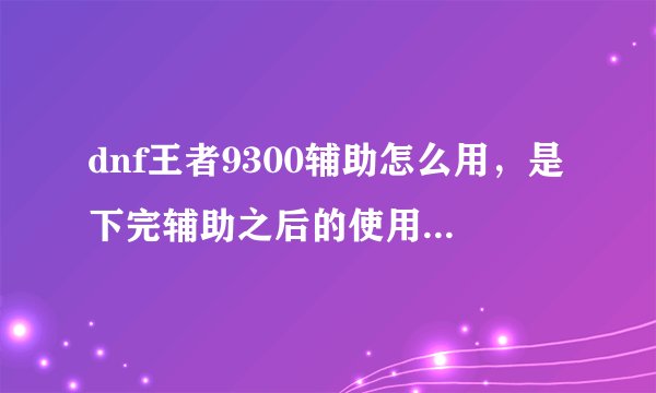 dnf王者9300辅助怎么用，是下完辅助之后的使用流程，先开什么，再开什么，怎么使用这