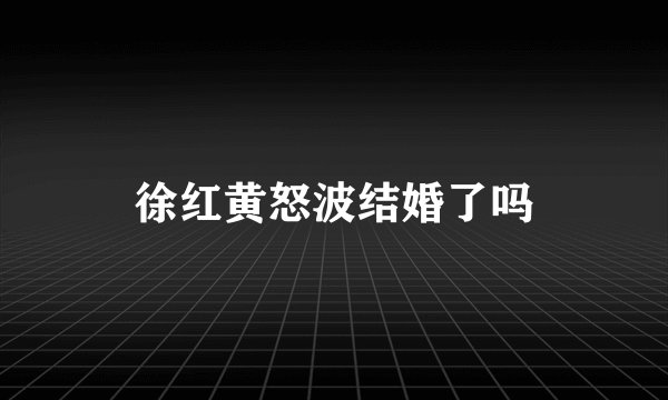 徐红黄怒波结婚了吗