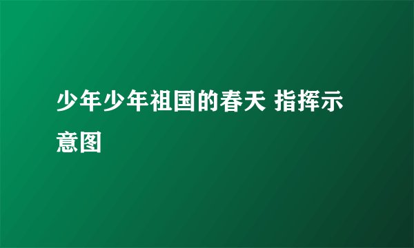 少年少年祖国的春天 指挥示意图