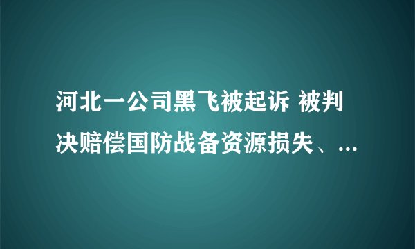 河北一公司黑飞被起诉 被判决赔偿国防战备资源损失、公开道歉