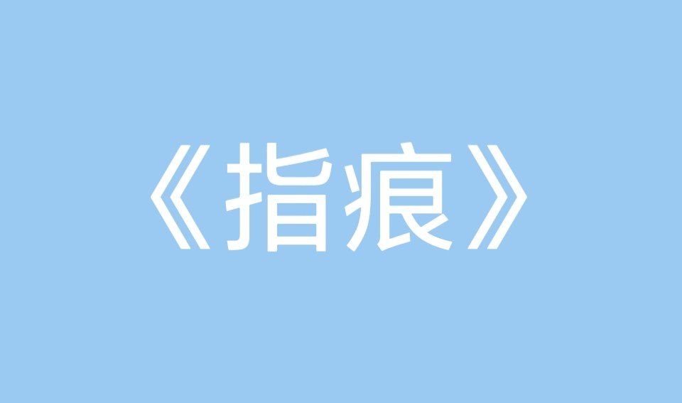哪里有指痕这本小说？