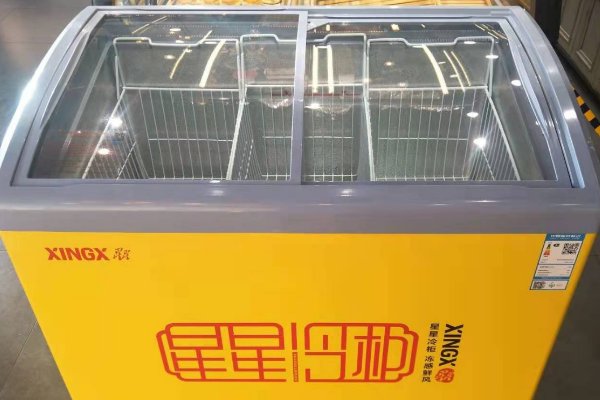 冰柜品牌质量排行榜前十名