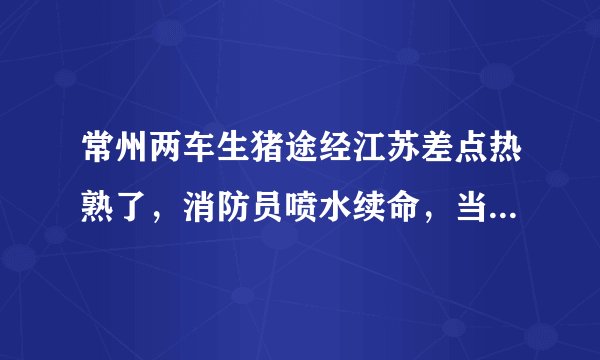 常州两车生猪途经江苏差点热熟了，消防员喷水续命，当地气温有多高？
