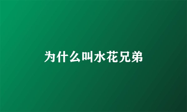为什么叫水花兄弟